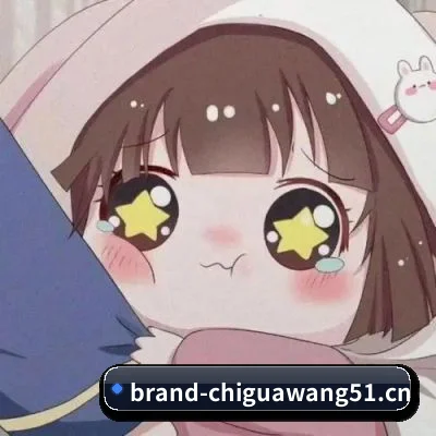 防扒皮系统革新